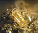 Eifel Mineralien Mendig Titanit
