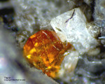 Eifel Mineralien Mendig Titanit