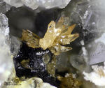 Eifel Mineralien Mendig Titanit