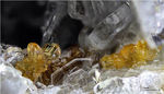 Eifel Mineralien Mendig Titanit