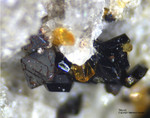 Eifel Mineralien Mendig Titanit