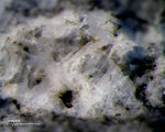 Eifel Mineralien Mendig Tridymit
