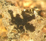 Eifel Mineralien Stolberg Münsterbusch Akanthit