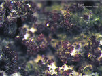 Eifel Mineralien Stolberg Münsterbusch Cuprit