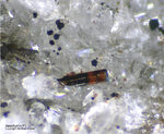 Österreich Mineralien Rauris Lohninger Bruch Aeschynit-(Y)