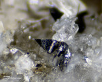 Österreich Mineralien Rauris Lohninger Bruch Anatas