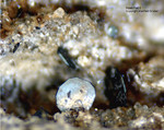 Österreich Mineralien Rauris Lohninger Bruch Haematit