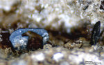 Österreich Mineralien Rauris Lohninger Bruch Haematit