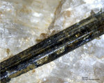 Österreich Mineralien Rauris Lohninger Bruch Epidot