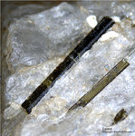 Österreich Mineralien Rauris Lohninger Bruch Epidot
