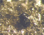 Österreich Mineralien Rauris Lohninger Bruch Magnetit