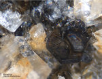 Österreich Mineralien Rauris Lohninger Bruch Klinochlor