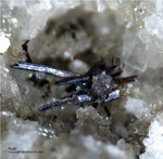 Österreich Mineralien Rauris Lohninger Bruch Rutil
