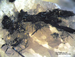 Österreich Mineralien Rauris Lohninger Bruch Turmalin