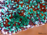 Eifel Mineralien Bleialf Malachit