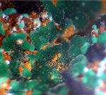 Eifel Mineralien Bleialf Malachit