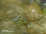 Eifel Mineralien Bleialf Tetraedrit