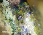 Eifel Mineralien Bleialf Tetraedrit