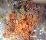 Eifel Mineralien Bleialf Ziegelerz