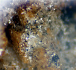 Eifel Mineralien Bleialf Dickit