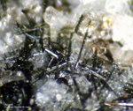 Eifel Mineralien Bellerberg Aegrin