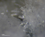 Mineralien Eifel Bellerberg Afwillit