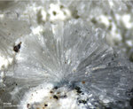 Mineralien Eifel Bellerberg Afwillit