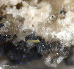 Eifel Mineralien Bellerberg Monazit-Ce