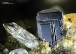 Eifel Mineralien Bellerberg Phlogopit