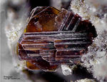 Eifel Mineralien Bellerberg Phlogopit