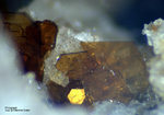 Eifel Mineralien Bellerberg Phlogopit