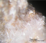 Eifel Mineralien Bellerberg Thaumasit