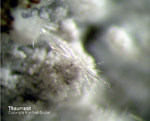 Eifel Mineralien Bellerberg Thaumasit