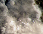 Eifel Mineralien Bellerberg Thaumasit