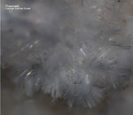Eifel Mineralien Bellerberg Thaumasit