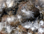 Eifel Mineralien Bellerberg Thaumasit