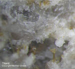 Eifel Mineralien Bellerberg Titanit