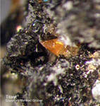 Eifel Mineralien Bellerberg Titanit