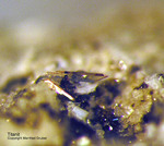 Eifel Mineralien Bellerberg Titanit