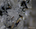Eifel Mineralien Bellerberg Titanit
