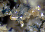 Eifel Mineralien Bellerberg Titanit