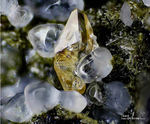 Eifel Mineralien Bellerberg Titanit