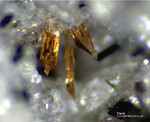 Eifel Mineralien Bellerberg Titanit