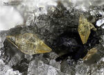 Eifel Mineralien Bellerberg Titanit