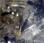 Eifel Mineralien Bellerberg Titanit