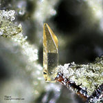 Eifel Mineralien Bellerberg Titanit