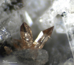 Eifel Mineralien Bellerberg Titanit