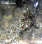 Eifel Mineralien Emmelberg Roedderit