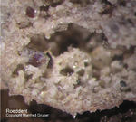 Eifel Mineralien Emmelberg Roedderit
