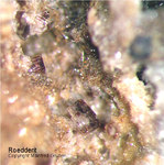 Eifel Mineralien Emmelberg Roedderit